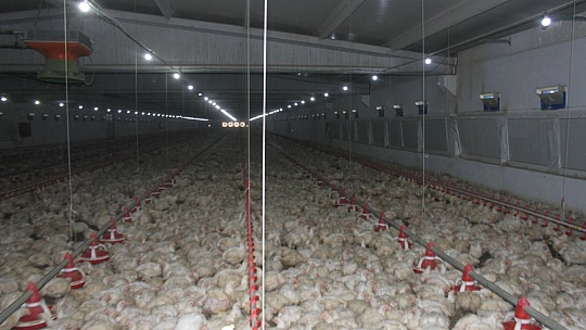 Yatırım Var Ama Destek Yok!