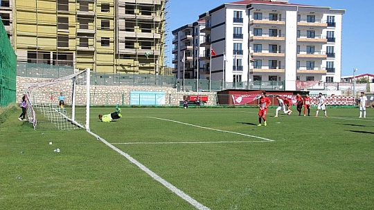 Karakoçlar evinde kral!