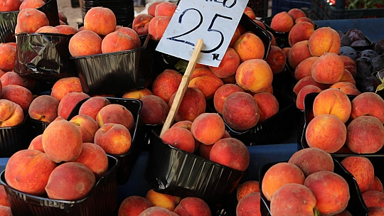 Bu Pazar Başka Pazar!