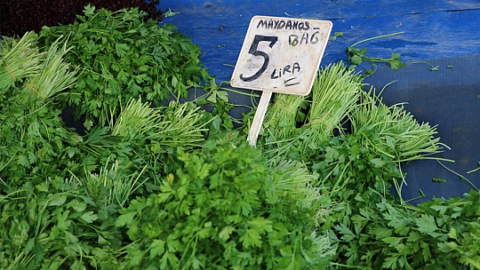 Bu Pazar Başka Pazar!