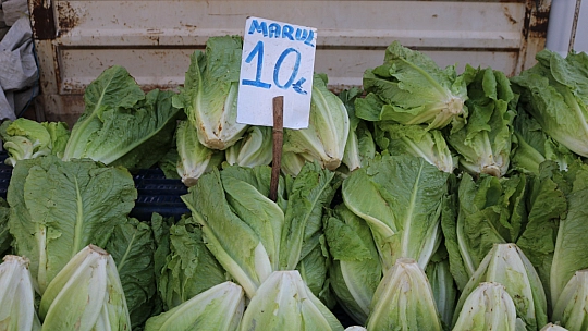 Bu Pazar Başka Pazar!