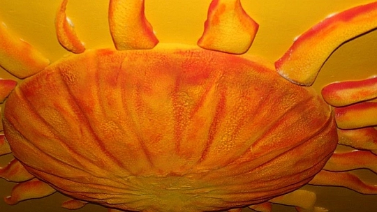 Baltaşı'nda Hayaller Gerçek Oldu