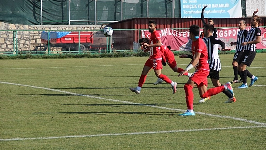 Karakoçlar, hayata döndü!