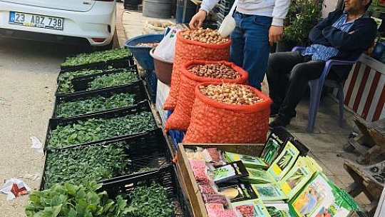 Elazığ'da Balkonlar 'Bahçe' Oldu