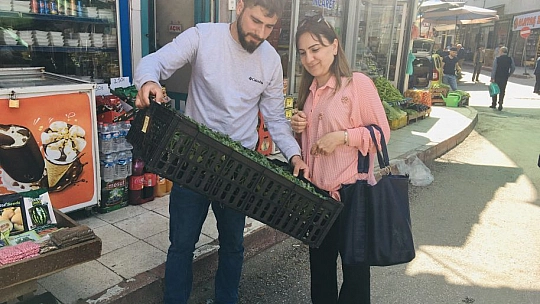 Elazığ'da Balkonlar 'Bahçe' Oldu