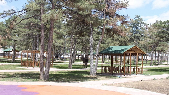 Bal: Şorşorla yaşamak istemiyoruz