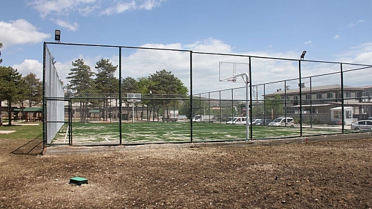 Bal: Şorşorla yaşamak istemiyoruz