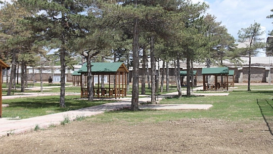 Bal: Şorşorla yaşamak istemiyoruz