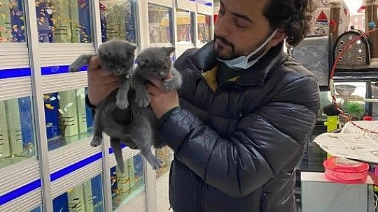 Artık Geçiş Üstünlüğü Yayalarda