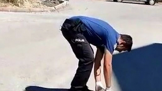 Polisin kaplumbağa duyarlılığı