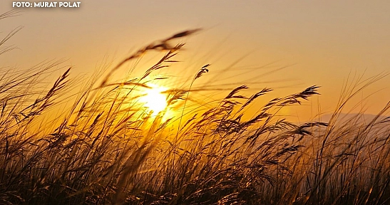 Elazığ'da hava bugün nasıl olacak? (06.09.2026)