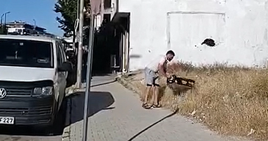 Elazığ'da ilginç anlar!