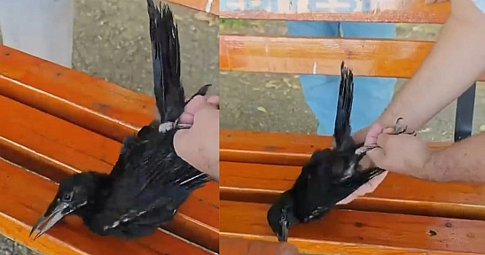 Elazığ'da vatandaştan yürek ısıtan hareket