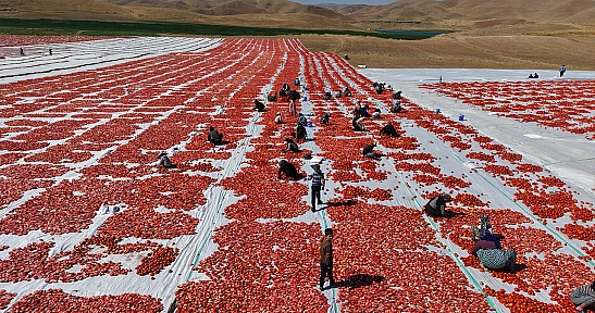 Elazığ'dan dünyaya uzanan ihracat