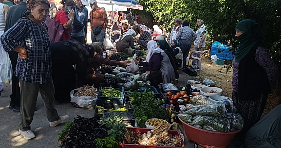 Gezin Cuma Pazarı'nda iğne atsan yere düşmüyor: Yoğunluk var, bütçe yok!
