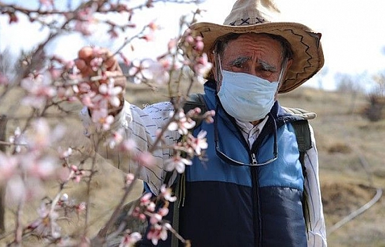 Adada çiçekler açtı