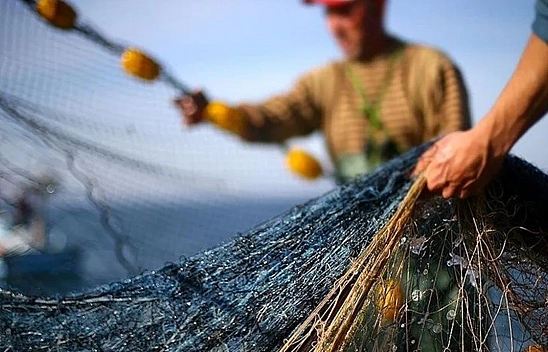 1 Eylül itibarıyla balık sezonu açılıyor