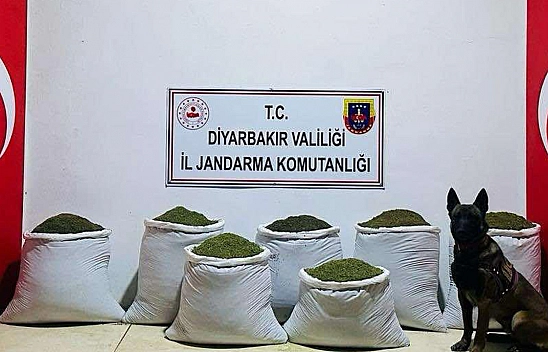 129 Kilo Toz Esrar Ele Geçirildi