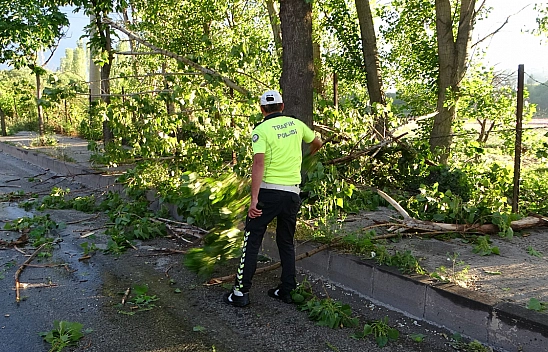 15 Dakikalık Fırtına Ağaçları Devirdi