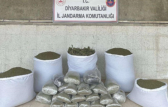 173 Kilo Esrar Ele Geçirildi