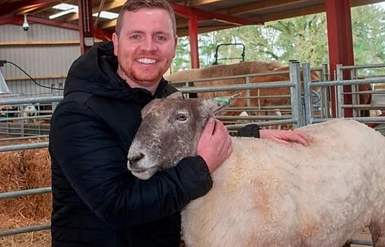 2 yıl doğada mahsur kaldı, diğer hayvanların yanına getirildi yaptığı hareket ekipleri dondurdu