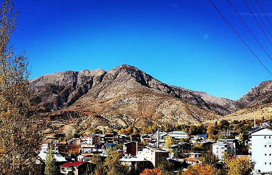 2019 Yerel Seçimlerinde Arıcak'ta Hangi Parti Kaç Oy Aldı?