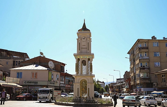 2019 Yerel Seçimlerinde Karakoçan'da Hangi Parti Kaç Oy Aldı?