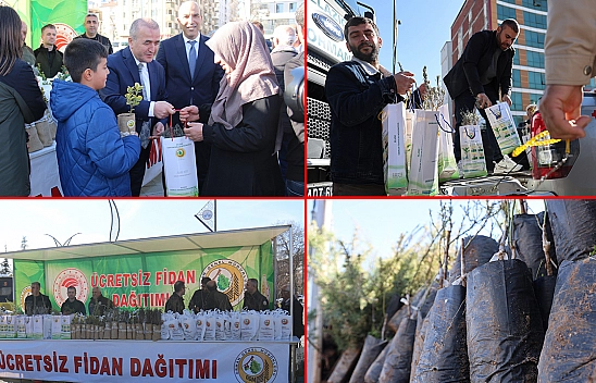 23 bin fidan klişesi