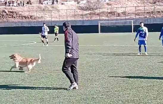 23 Kişilik Futbol Maçı