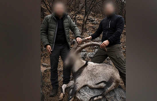 6 yıl sonra ortaya çıktı: yasa dışı yaban keçisi avcılarına ceza