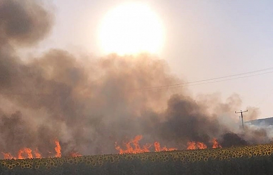 60 Dönüm Alan Küle Döndü!