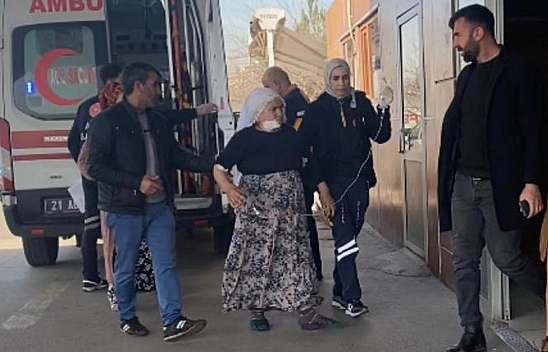 72 Yaşındaki Kadın Beslediği Köpeğin Saldırısına Uğradı!