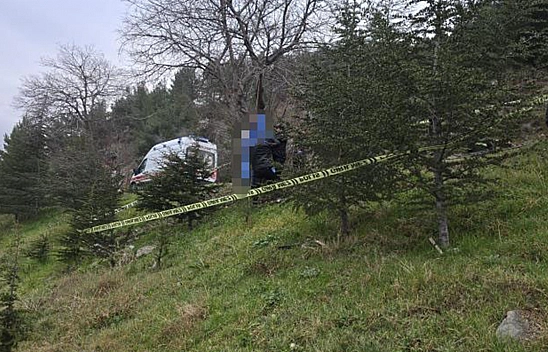 Ağaca Asılı Halde Erkek Cesedi Bulundu!