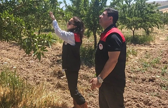 Ağın'da badem bahçelerine hastalık ve zararlı kontrolü