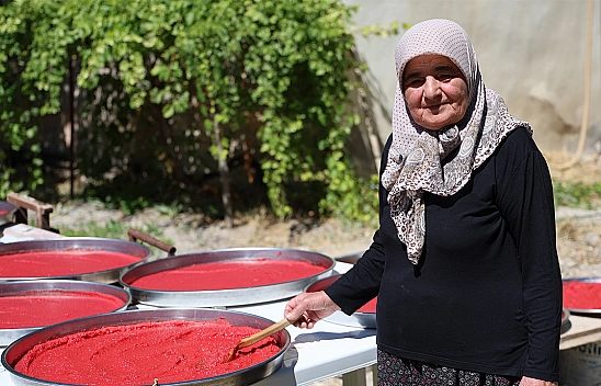 Ağın'da kış hazırlığı: domates salçası tepsilerde güneşte olgunlaşıyor