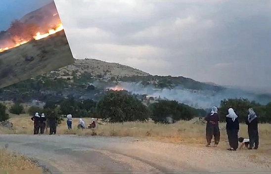 Ağın'da Şimşek Çakması Sonucu İki Köyde Yangın Çıktı