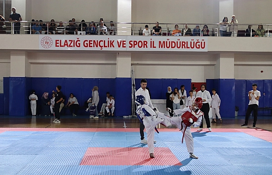 Analig İl Seçmeleri Tamamlandı