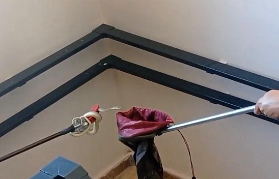 Apartmana giren yılan paniğe neden oldu