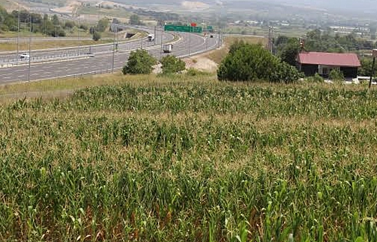 Arsa alacaklara müjde! Fiyatlar 310 bin TL'den başlıyor