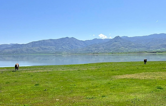 Baharın Gelmesine En Çok Onlar Sevindi