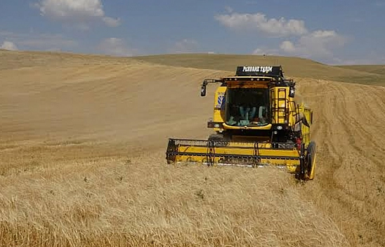 Bakan Yumaklı: Buğday ve arpada tarihi rekor bekleniyor