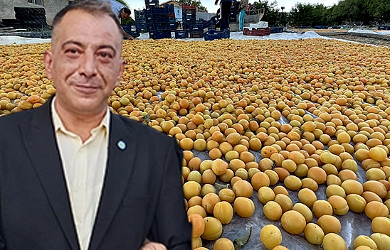 Başkan Arslan: Baskil Kayısısı yok sayılıyor, 'Utanç verici'