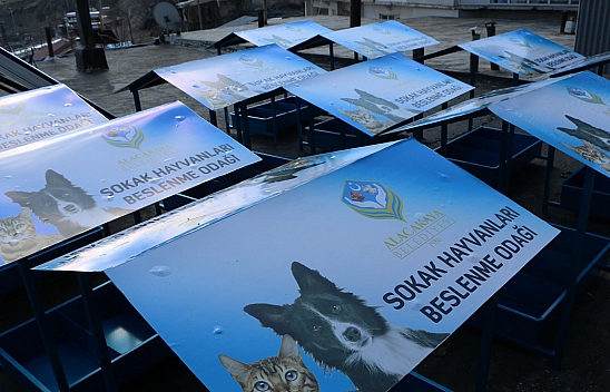 Başkan Yaşlı, Sokak Hayvanlarını Unutmadı!