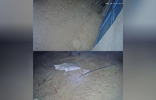 Baskil'de panik yaratan sesin nedeni belli oldu