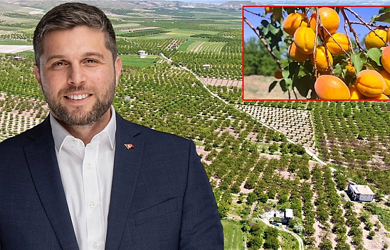 Baskil Kayısısı'nın size ne zararı var?