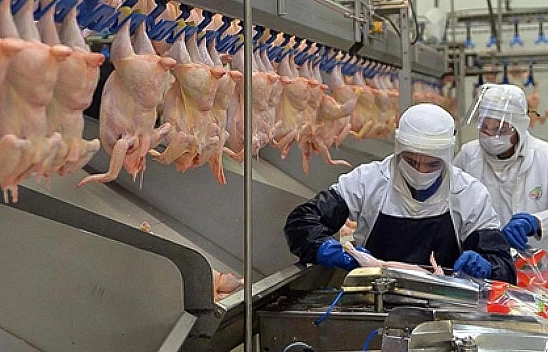 Beyaz et soruşturmasında 13 şirkete denetim kayyımı tedbiri