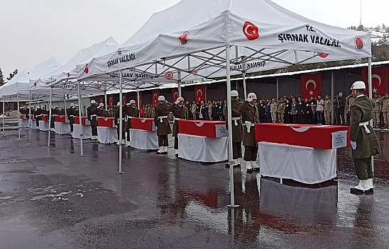 'Bil Oğlum'