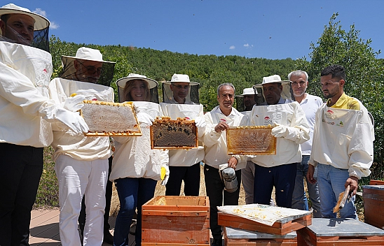 Bingöl'de Bal Hasadı Başladı