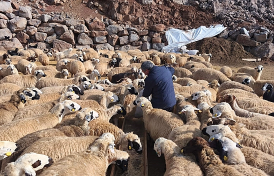 Bölgede 24 saat şap nöbeti