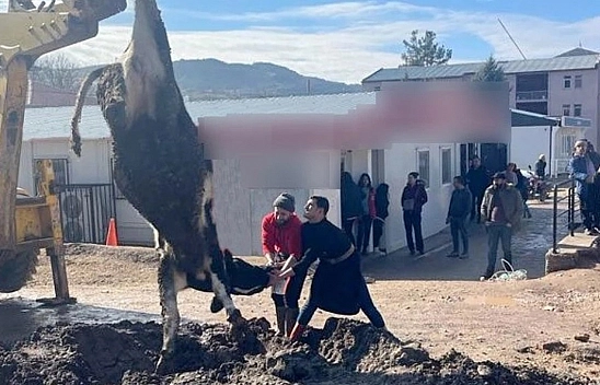 Böyle Kutlama Görülmedi!